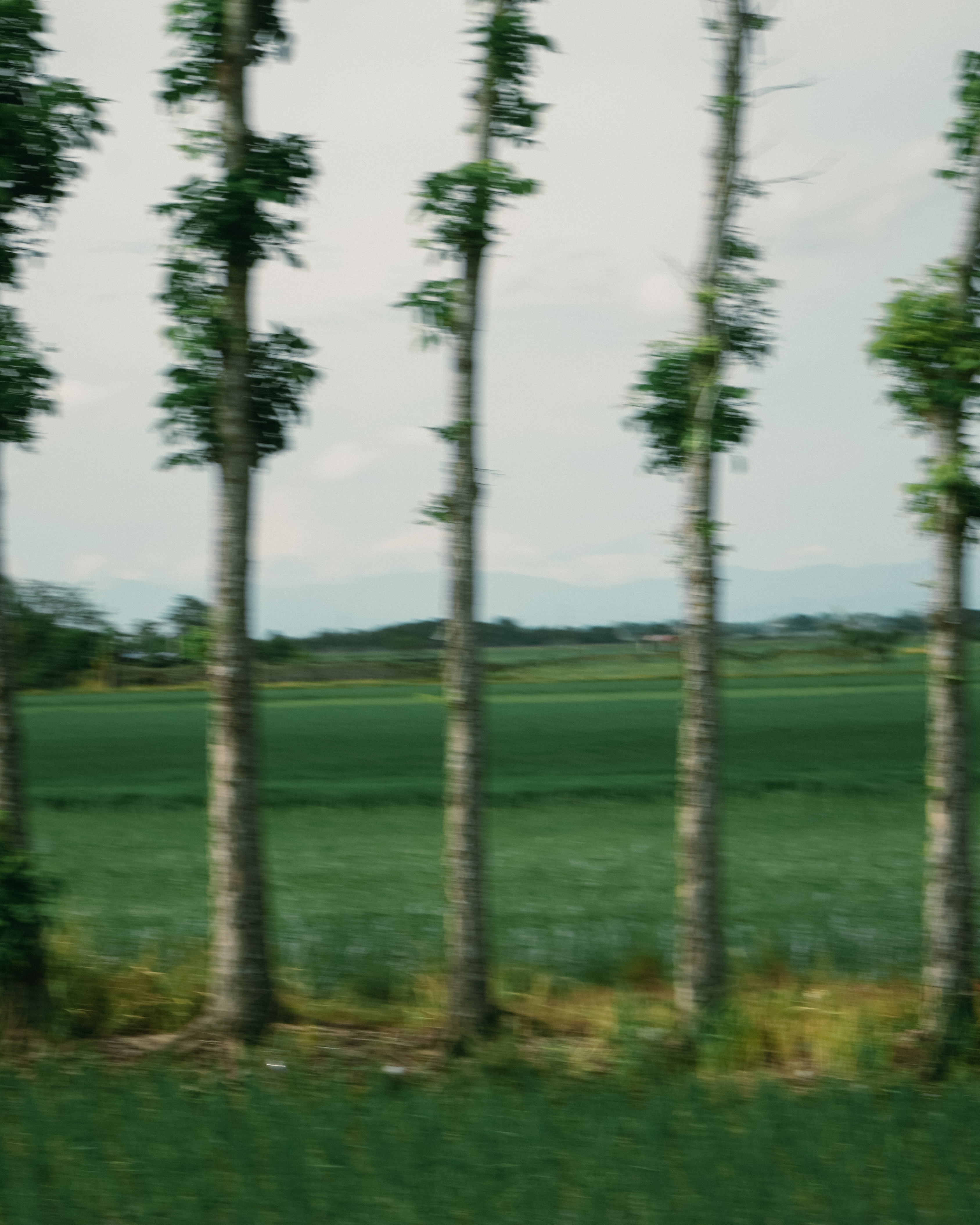 Cycling Jersey - Gravel Collection